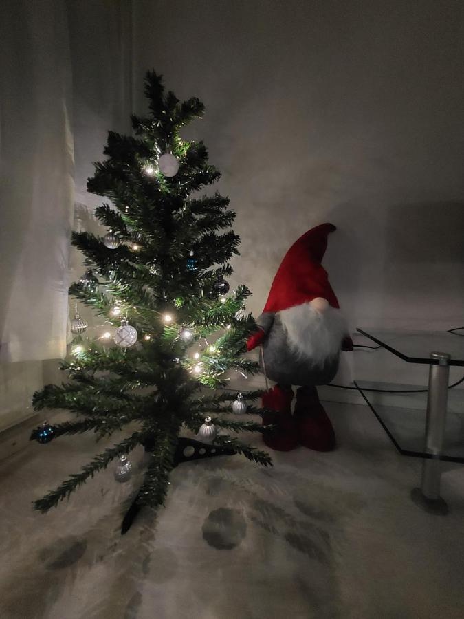 City Home Taimi Rovaniemi Eksteriør bilde